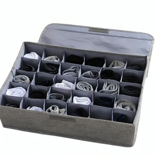 Storage Organizer with Lid 24 Cell